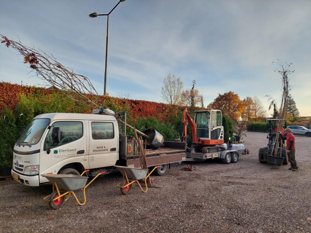 Lastbil og trailer med minigraver, trillebør og et træ klar til plantning ved en hæk