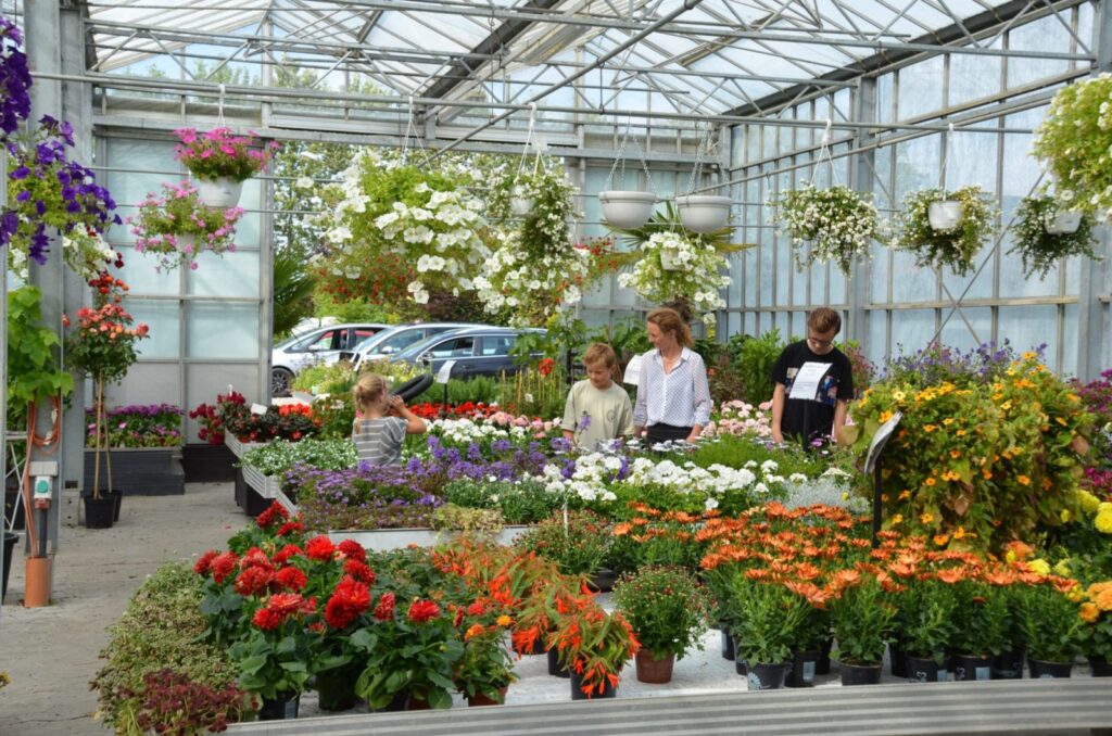 Kunder i planteskolens drivhus
